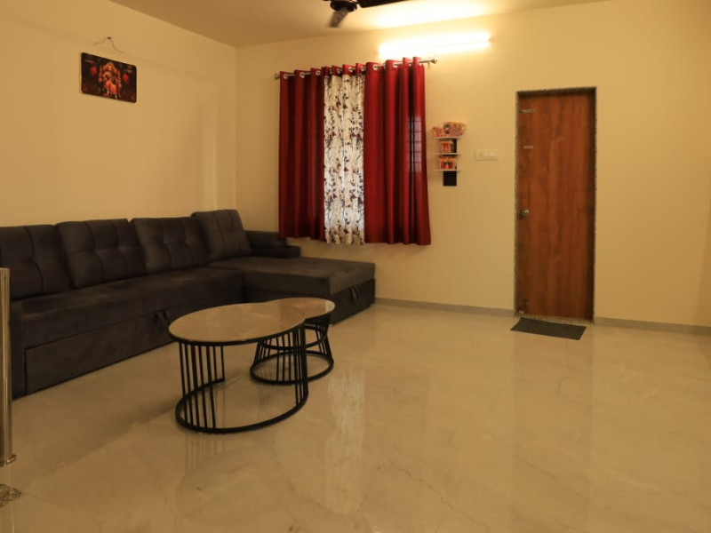 Study Area